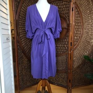 Ted Baker Silk Dress